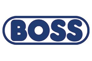 Logo Boss
