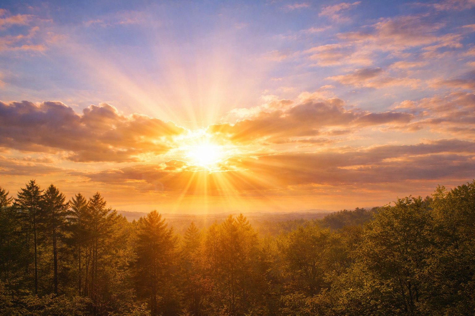 Sonnenaufgang über einem Wald – Symbolbild für Sommerhitze